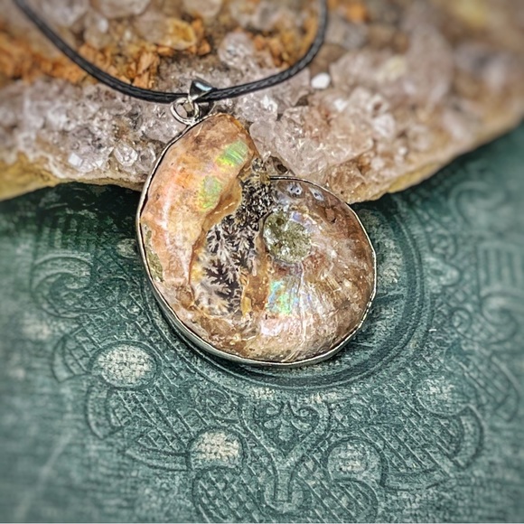 Ammonite Pendent Necklace - Picture 3 of 8